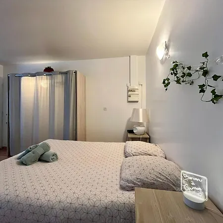 Le Theolier - Apartment Tournon-sur-Rhone